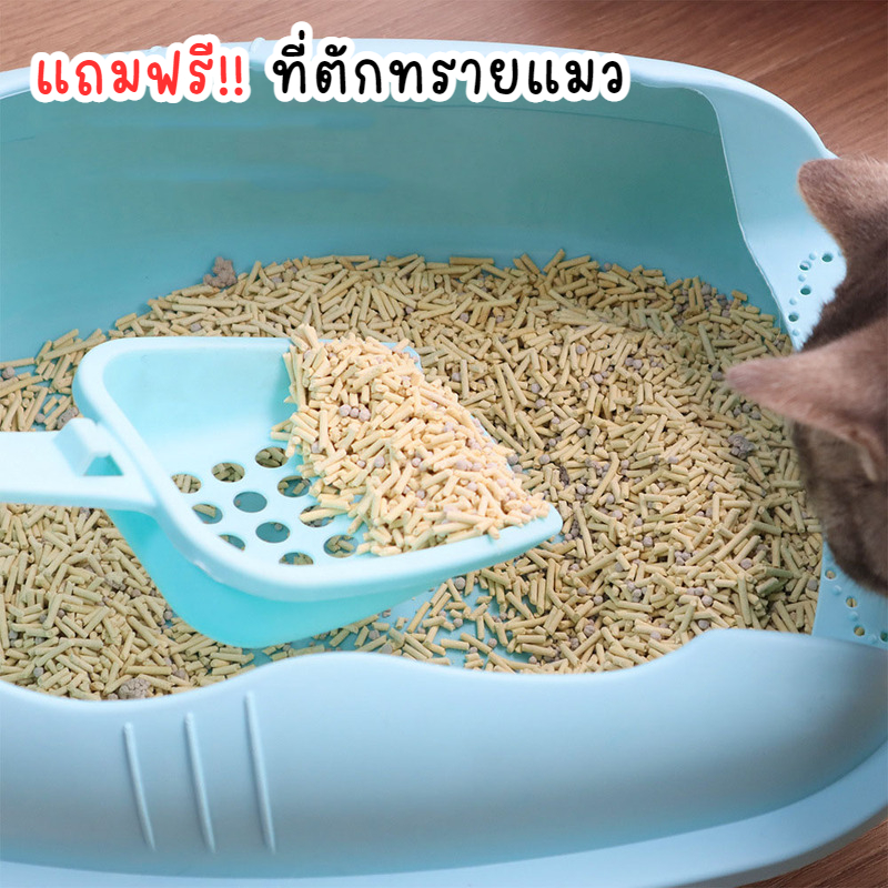 กระบะทรายแมว-ห้องน้ำแมวใหญ่-กะบะทรายแมว-กระบะทรายแมวโต-ห้องน้ำแมวโดม-ลดราคา-ห้องน้ำแมว-ราคาถูก-cat-litter-พร้อมที่ตัก