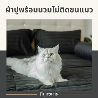 ผ้าปูที่นอนพร้อมผ้านวม ไม่ติดขนสัตว์ ผ้าปูที่นอนไม่ติดขนแมว มีทุกขนาด 3.5 -  6 ฟุต ขนแมวปัดออกง่าย