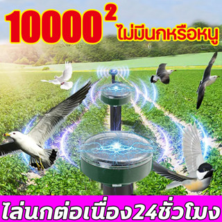 🔊10000เมตร ไม่มีนกหรือหนู🔊DT เครื่องไล่นก ไล่นกพิราบ ไล่งู พลังงานแสงอาทิตย์ ไล่สัตว์ อัลตราโซนิก 360° เครื่องไล่แมว