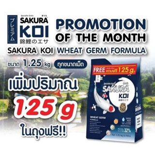 💥 อาหารปลาคาร์ฟ ซากุระโค่ย สูตรวิท​เจิ​ร์ม​ ถุง​ 1.25 kg.  SAKURA KOI WHEAT GERM FORMULA สูตร​เพื่อสุขภาพ​