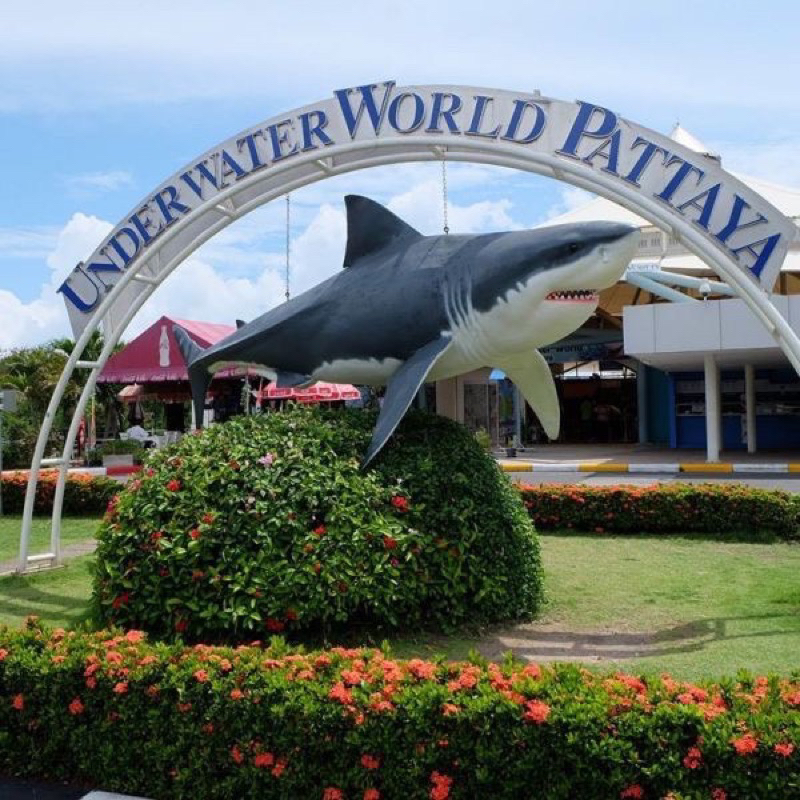 underwater-world-pattaya