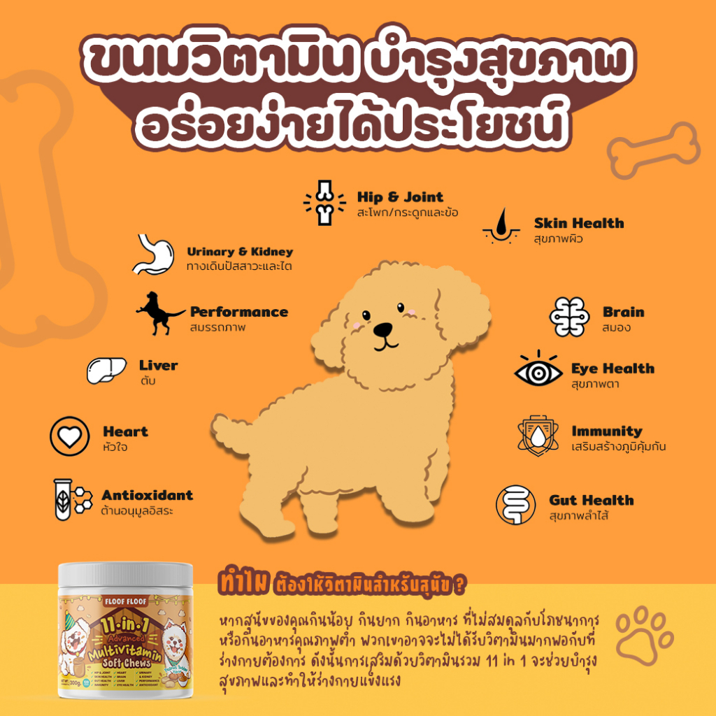 สุดคุ้ม-mini-healthy-set-11-in-1-probiotics-krill-oil-วิตามินบำรุงสัตว์เลี้ยง