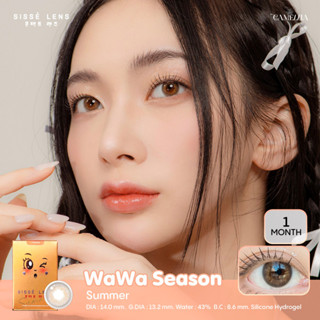 Sissè lens รุ่น WaWa Season (Summer) 🍊🌼 คอนแทคเลนส์เกาหลีรายเดือน