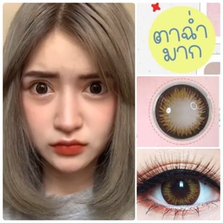 คอนแทคเลนส์ รุ่น Trendy สีตาล/choco Brown/Choco มีค่าสายตา (0.00)-(-10.00)