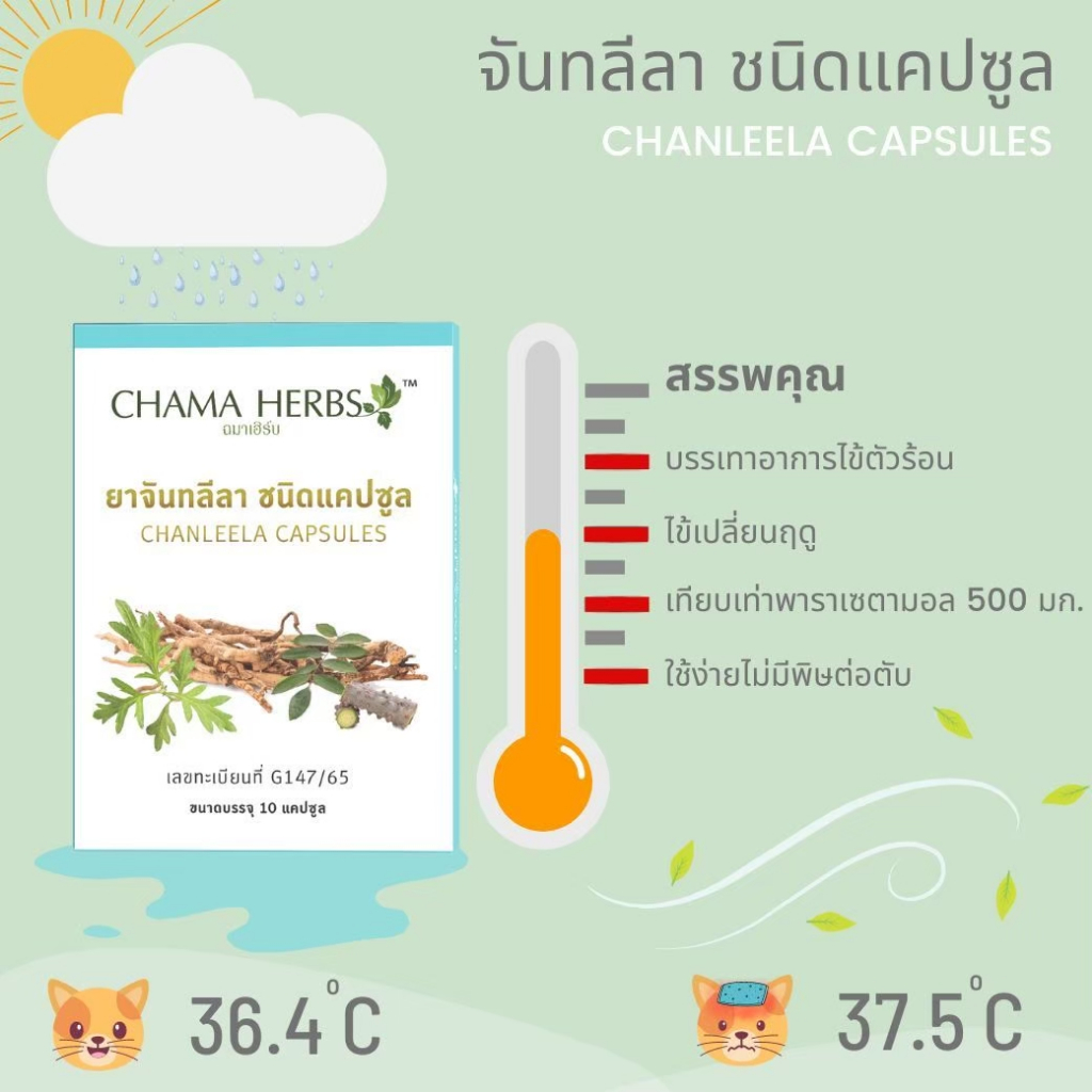 chama-herbs-ยาจันทลีลา-ชนิดแคปซูล-10เม็ด-แผง-ผลิตภัณฑ์ขายได้ทั่วไป