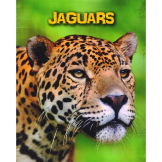 DKTODAY หนังสือ INFOSEARCH LIVING IN THE WILD:JAGUARS