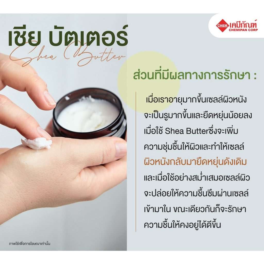 shea-butter-เชีย-บัตเตอร์