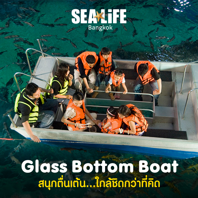 บัตรเข้าชม-sealife-bangkok-ocean-world-ซีไลฟ์-โอเชี่ยนเวิลด์-สยามพารากอน