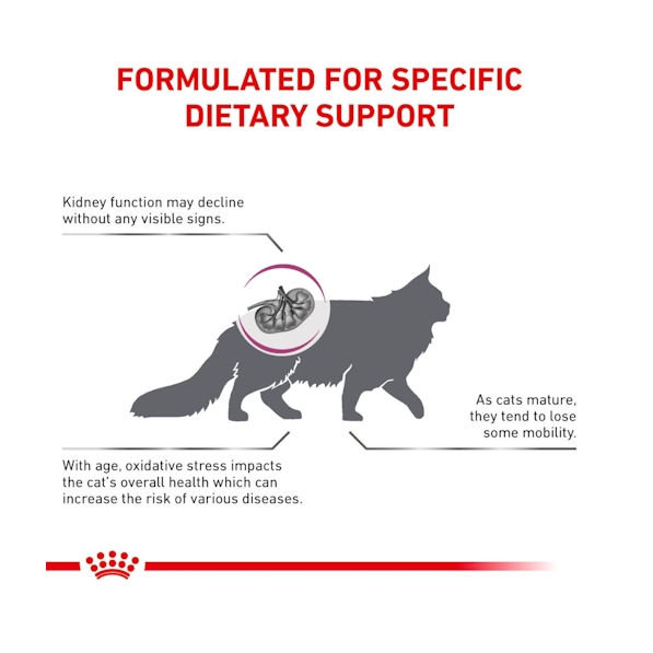 royal-canin-early-renal-อาหารแมวประกอบการรักษาโรคไตในระยะเริ่มต้น-ชนิดเม็ด-early-renal-6kg