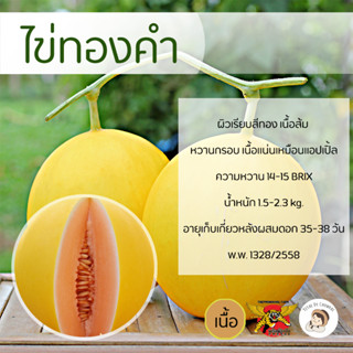 เมล็ดเมล่อนพันธุ์ไข่ทองคำ 100 เมล็ด ตราพยัคฆ์ติดปีก เมล็ดพันธุ์ เมล่อนเนื้อส้ม