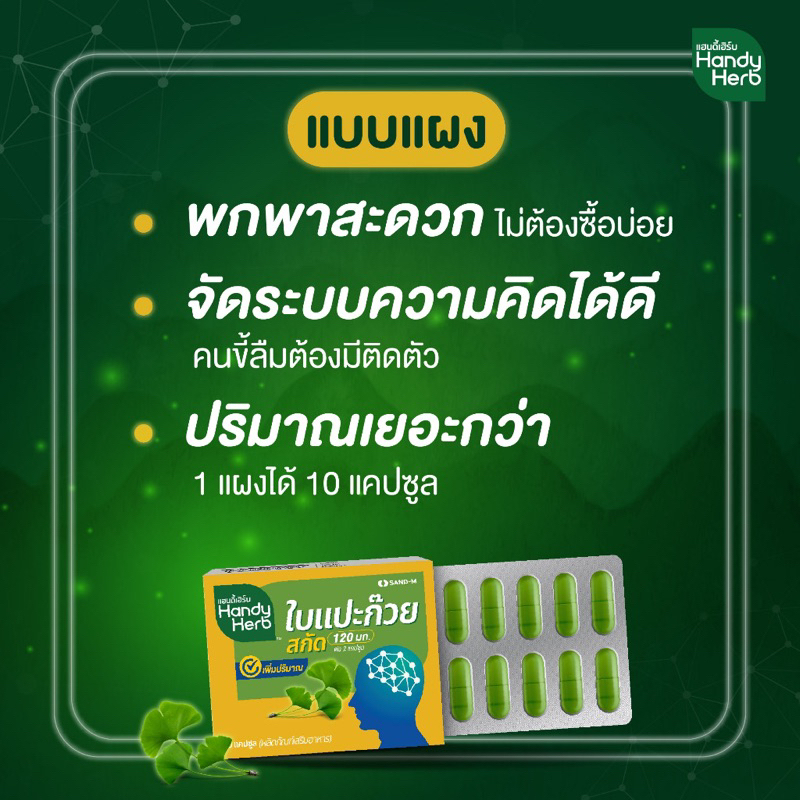 hendy-herb-อาหารเสริม-สารสกัดใบแปะก๊วย-บำรุงประสาทและสมอง