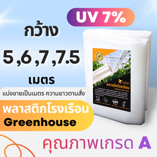 *ของแท้💯* พลาสติกคลุมโรงเรือน UV 7% กว้าง 5,6,7,7.5เมตร หนา 100 -200 ไมครอน greenhouse