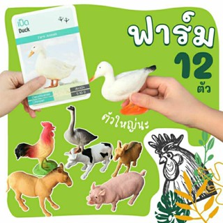 ชุดโมเดลสัตว์ในฟาร์ม 12 ตัว + การ์ดกิจกรรม 16 ใบ โมเดลสัตว์ Vanda learning