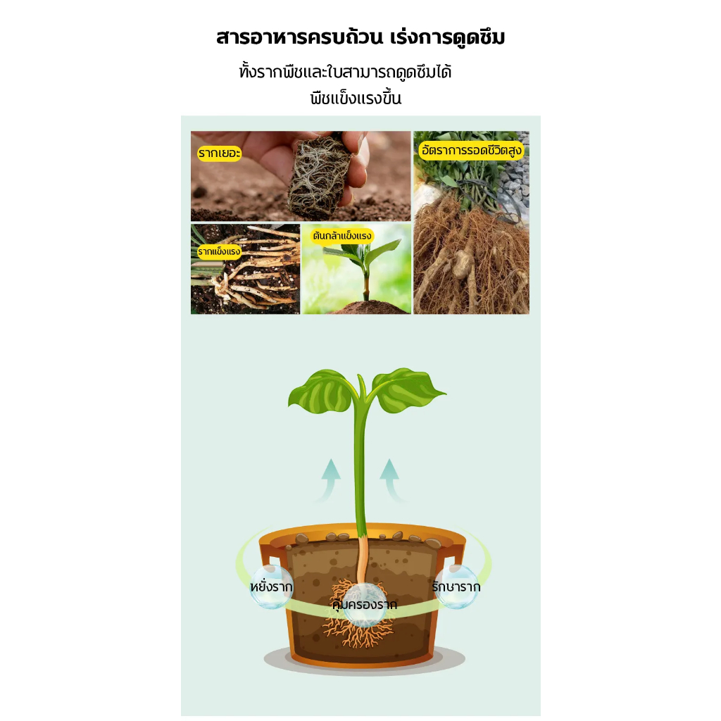 ผงเร่งรากพืช-ผงเร่งราก-ผงเร่งรากคอมโบ-น้ำยาเร่งราก-ยาเร่งราก-500ml-อุดมไปด้วยธาตุจำนวนมาก-ส่งเสริมการเจริญเติบโตของรากพื