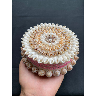 กล่องเครื่องประดับงานฝีมือเปลือกหอยและสังข์ Shell and Conch Craft Jewelry Box