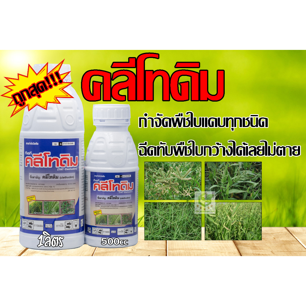 คลีโทดิม 1ลิตร กำจัดหญ้าใบแคบ ฉีดทับ พริก แตง มันสำปะหลังได้ แพนเทอร่า ...