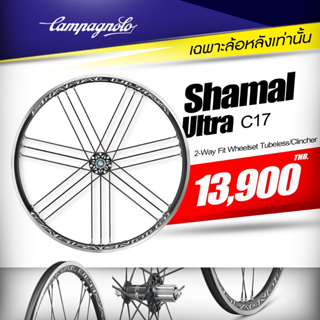 ล้อหลังเท่านั้นRear Wheel Only!! Campagnolo Shamal Ultra C17 2-Way ล้ออลูมิเนียม Rim Brake (ใส่ยางในหรือยางTubeless)
