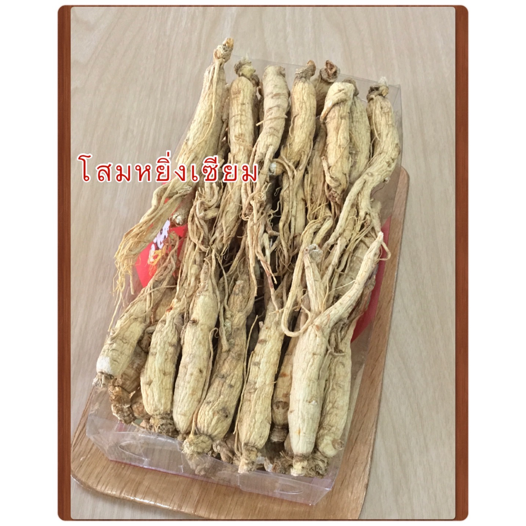 โสมหยิ่งเซียม-โสมคน-radix-ginseng