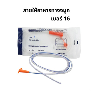 NG Tube สายให้อาหารทางจมูก สายสวนกระเพาะอาหาร Stomach Tube Size : 16Fr หัวสีส้ม