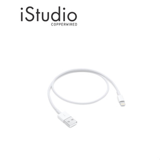 สินค้า Apple สายชาร์จ iPhone แบบ Lightning to USB Cable ไม่สามารถใช้กับหัวชาร์จ 20W ได้ | iStudio by copperwired