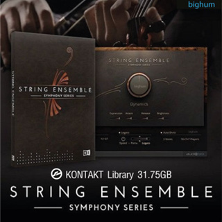 Symphony Series - String Ensemble KONTAKT Library