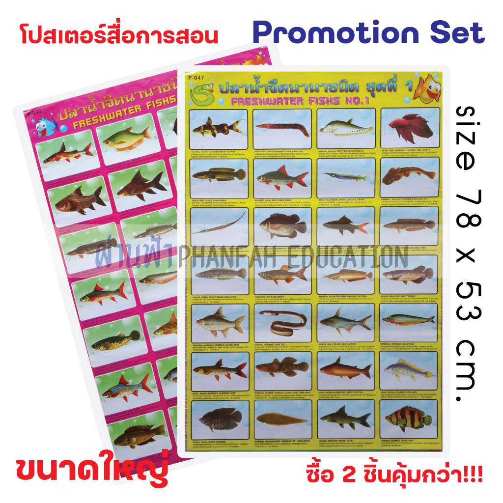 ถูกกว่าซื้อแยก10-โปสเตอร์ความรู้-ปลาน้ำจืดนานาชนิด-ชุดที่-1-และ-2-เซทสุดคุ้ม