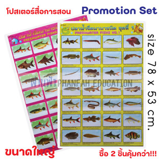 (ถูกกว่าซื้อแยก10%)โปสเตอร์ความรู้ ปลาน้ำจืดนานาชนิด ชุดที่ 1 และ 2 เซทสุดคุ้ม