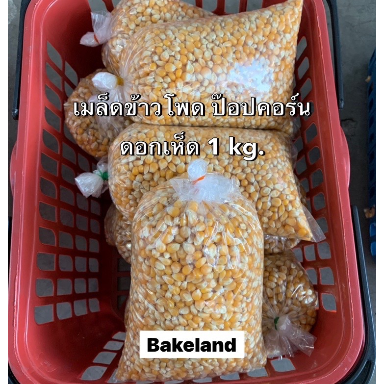 เมล็ดข้าวโพดดิบ-เมล็ดข้าวโพดคั่วป๊อปคอร์น-ดอกเห็ด-ขนาดถุง1-kg-ป๊อปคอร์น-ของว่างทานเล่น-bakeland-เบคแลนด์