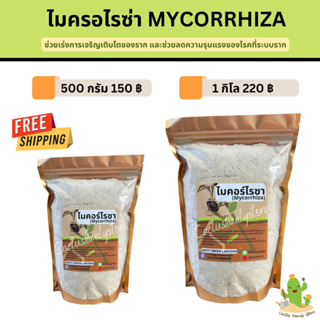 ไมคอร์ไรซ่า (Mychrrhiza)