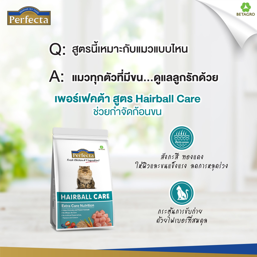 **ล็อตใหม่** Perfecta Care Cat Food อาหารแมว เพอร์เฟคต้า แคร์ สูตร ...