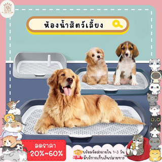 ใหม่✨ ♥ 𝗮𝗹𝗹𝘀𝘁𝗮𝗿 ♥ ห้องน้ำหมา Dog Toilet ขอบสี่เหลี่ยม ห้องน้ำสุนัข ถาดฉี่สุนัข มีตะแกรงรองถาด ทำความสะอาดง่าย พร้อมส่ง🚚