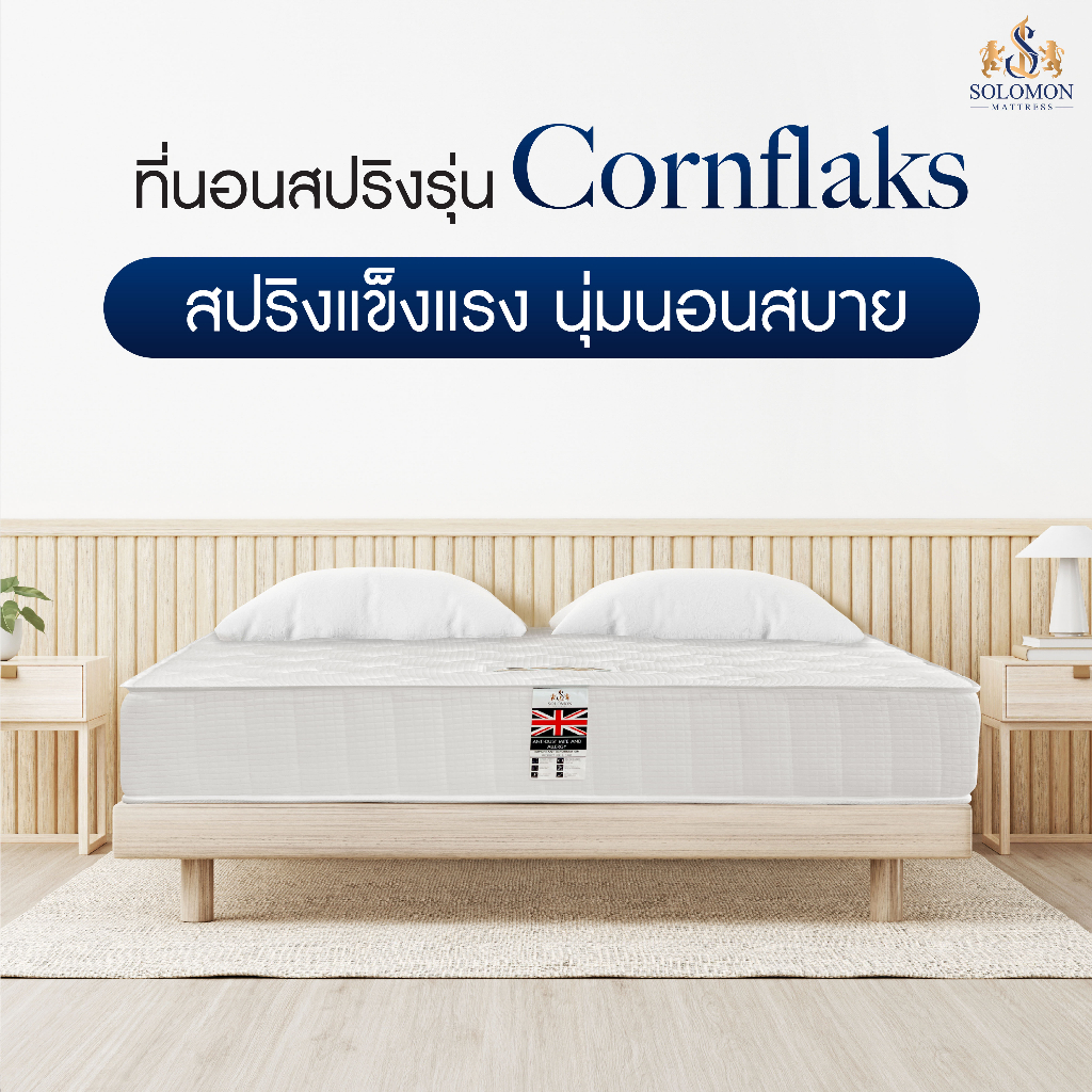 ภาพสินค้าSolomon ที่นอนสปริง Hybrid รุ่น Cornflaks ความหนา 9 นิ้ว นุ่ม นอนสบาย แถมฟรีหมอนหนุนใบใหญ่ จากร้าน solomonmattress บน Shopee ภาพที่ 1