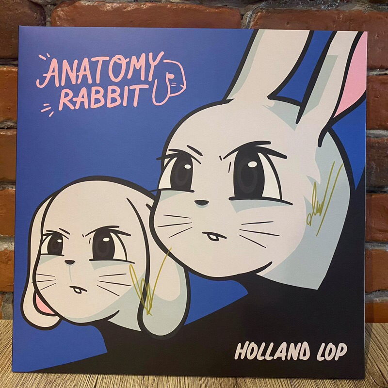‼️VERY RARE‼️ 1 LP Vinyl แผ่นเสียง ไวนิล Anatomy Rabbit - Holland Lop ️ ...