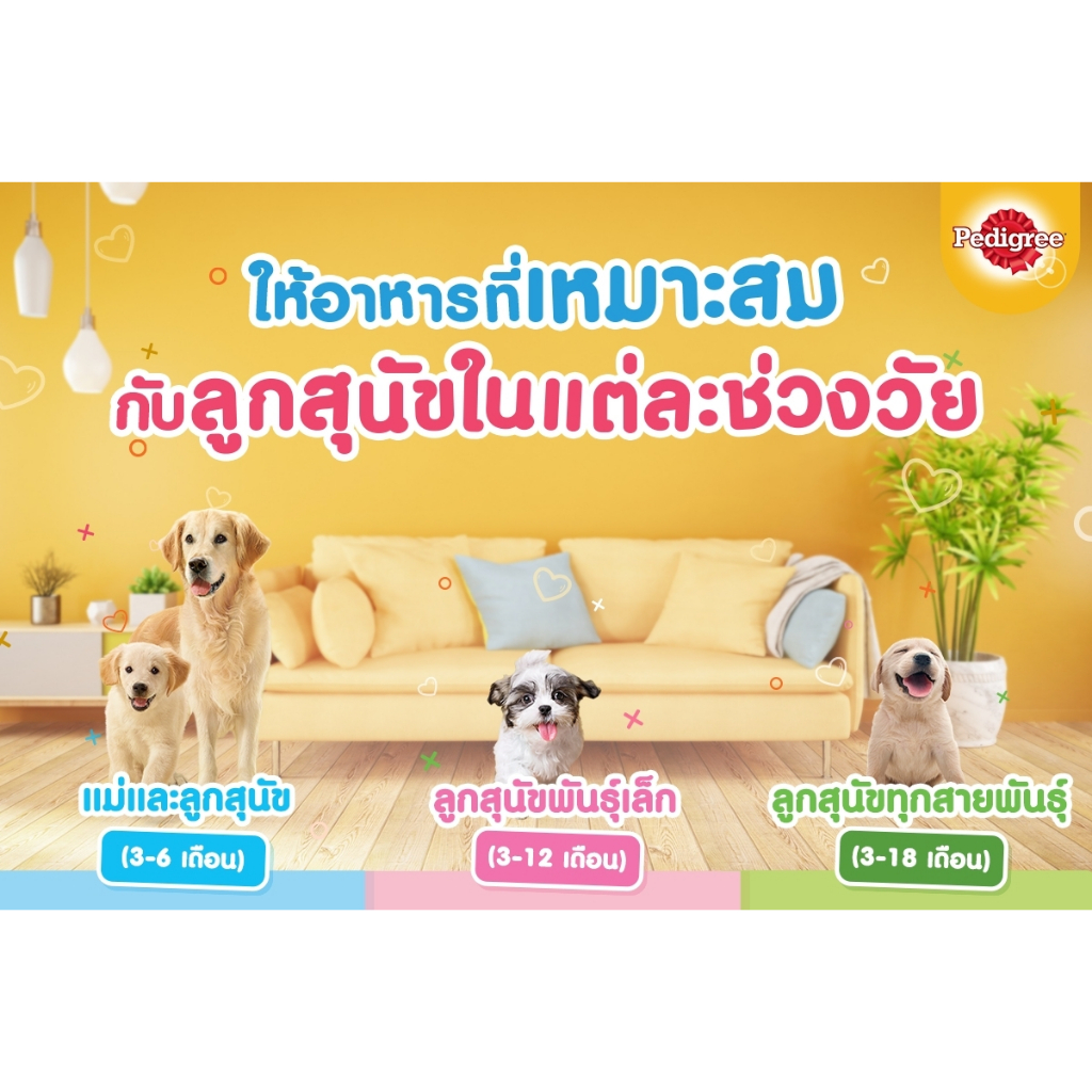 pedigree-เพดดิกรี-puppy-อาหารลูกสุนัข-อาหารเม็ดลูกสุนัข-ลูกสุนัข-ขนาด-8-kg-bnnpetsho