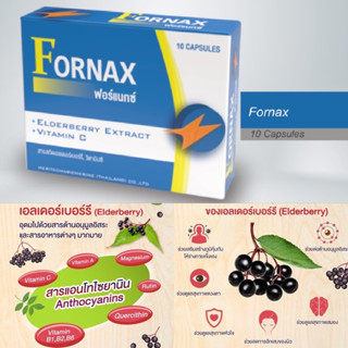 (ล๊อตใหม่ล่าสุด 1/08/25) Fornax สารสกัดเอลเดอร์เบอร์รี่ วิตามินซี เหมาะกับคนที่เป็นหวัดบ่อย 10 แคปซูล