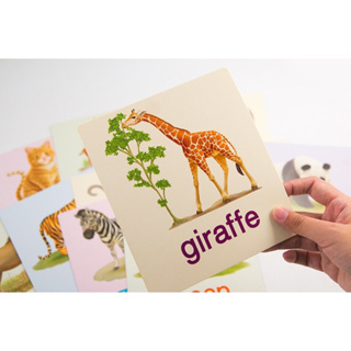 (ค่าส่งถูก)แฟลชการ์ดใบใหญ่ 🦒 Big Card 🦒 การ์ดคำศัพท์ animal 🦒 หนูชอบสัตว์น่ารัก 🦒 บัตรคำ 🦒 ศัพท์พื้นฐานเด็ก 🦒