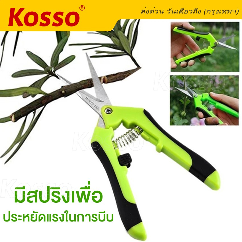 kosso-กรรไกรสำหรับตัดแต่งกิ่งไม้-หัวตรง-1ชิ้น-กรรไกรตัดแต่งกิ่งอุปกรณ์ตัดแต่งกิ่งในสวนตัดแต่งต้นไม้ในบ้าน-1301-sa