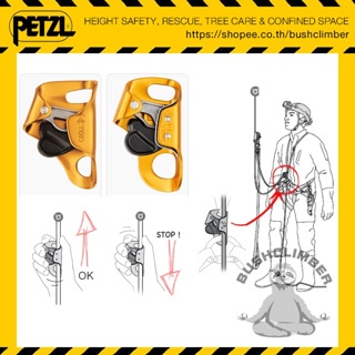 Petzl แท้จากบริษัท!!  โคร อุปกรณ์จับเชือก Petzl Chest ascender