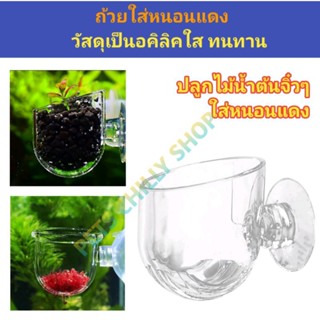 ถ้วยใส่หนอนแดง ปลูกไม้น้ำ Glass cup