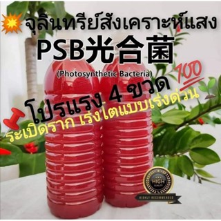 จุลินทรีย์​สังเคราะห์​แสง​ ช่วยระเบิดราก​ เร่งโตแบบเร่งด่วน​💥💥