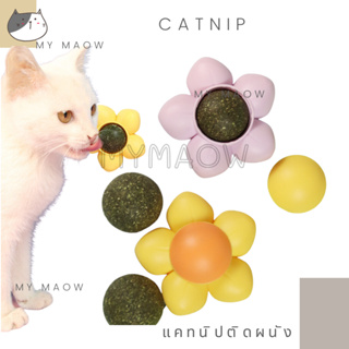 ภาพหน้าปกสินค้าMM CAT // แคทนิปติดผนัง แคทนิปแมว แคทนิปบอล แคทนิป008 ที่เกี่ยวข้อง