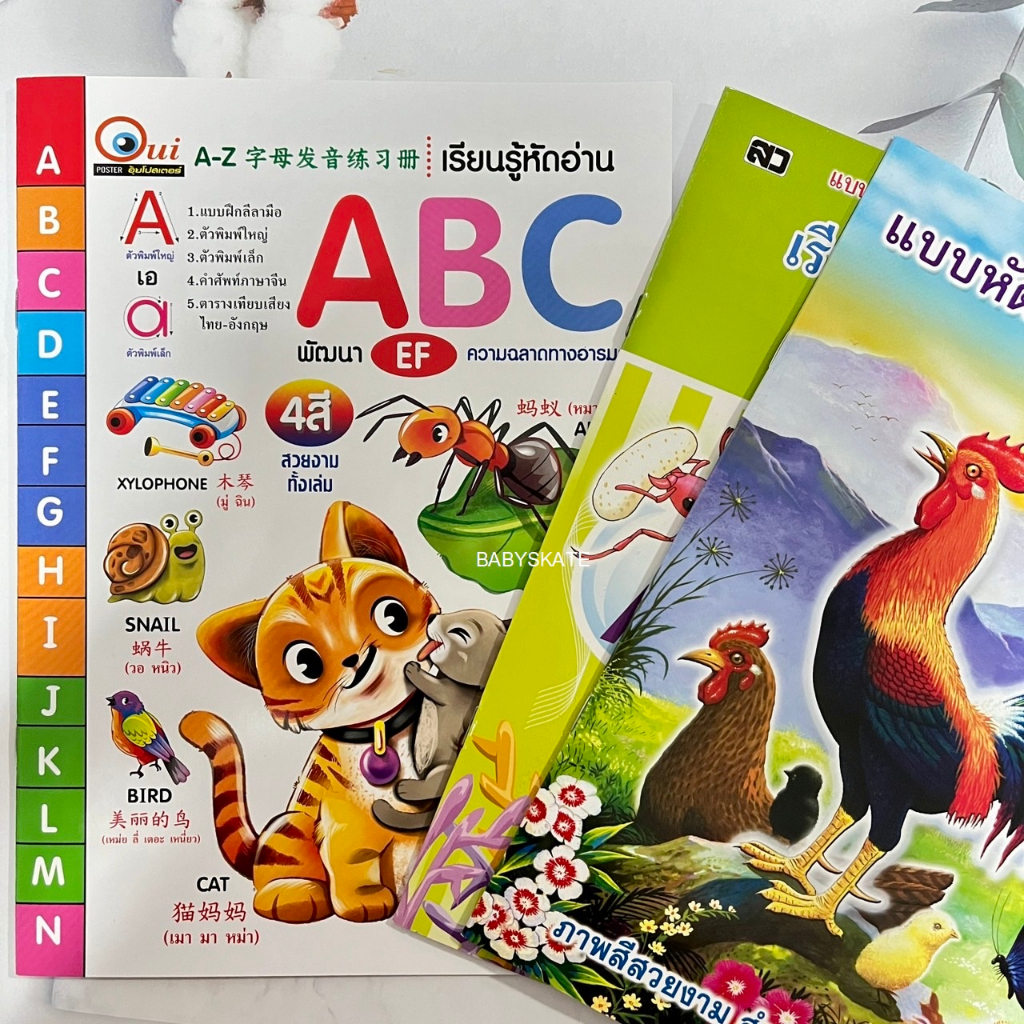 แบบหัดอ่าน ABC 3 ภาษา,แบบหัดอ่านABC,กอไก่ | Shopee Thailand