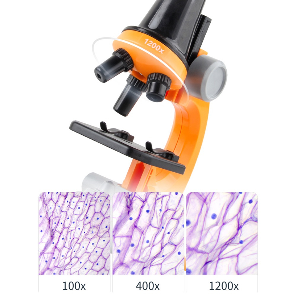 กล้องจุลทรรศน์-อุปกรณ์เยอะสุด-กล้องจุลทรรศน์สำหรับเด็ก-กำลังขยาย-1200-เท่า-ยึดโทรศัพท์