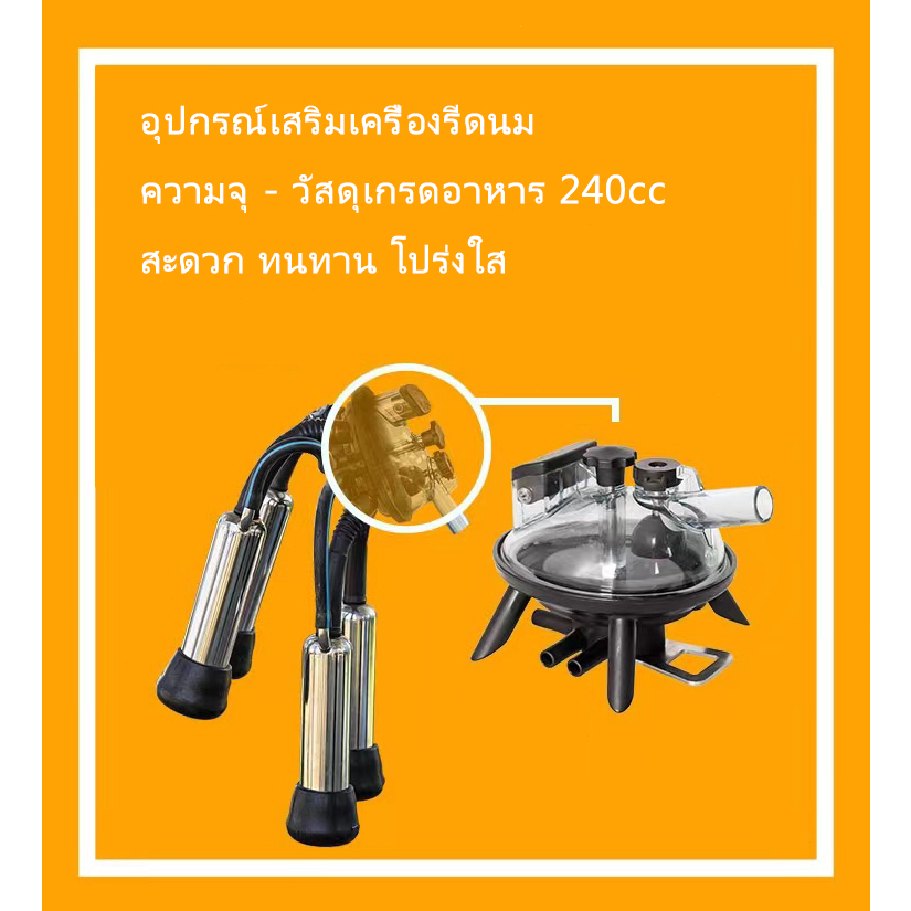 ชุดถ้วยวัวติดกัน-เก็บนม-เก็บนม-ชุดถ้วย-ปั๊มสุญญากาศ-เครื่องรีดนม