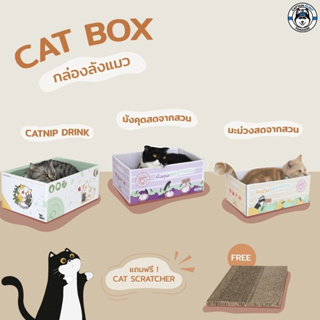 KAFBO Cat box - กล่องลังแมว บ้านแมว ที่ลับเล็บแมว ที่ฝนเล็บแมว มี 3 ลายให้เลือก
