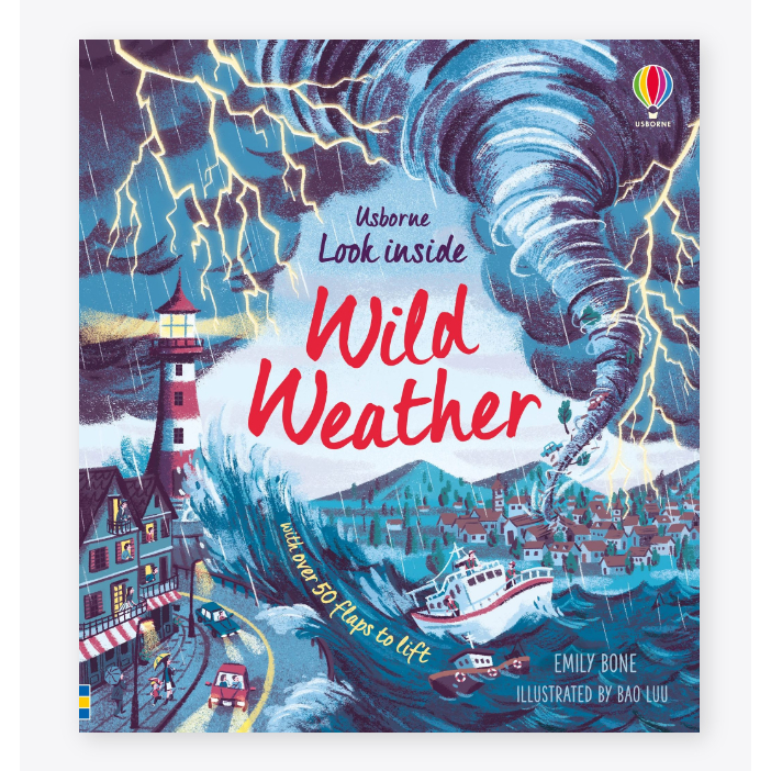 look-inside-wild-weather-board-book-look-inside-english