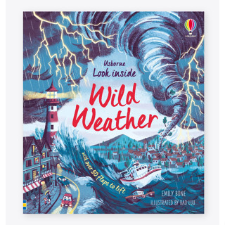 Look Inside Wild Weather Board book Look Inside English