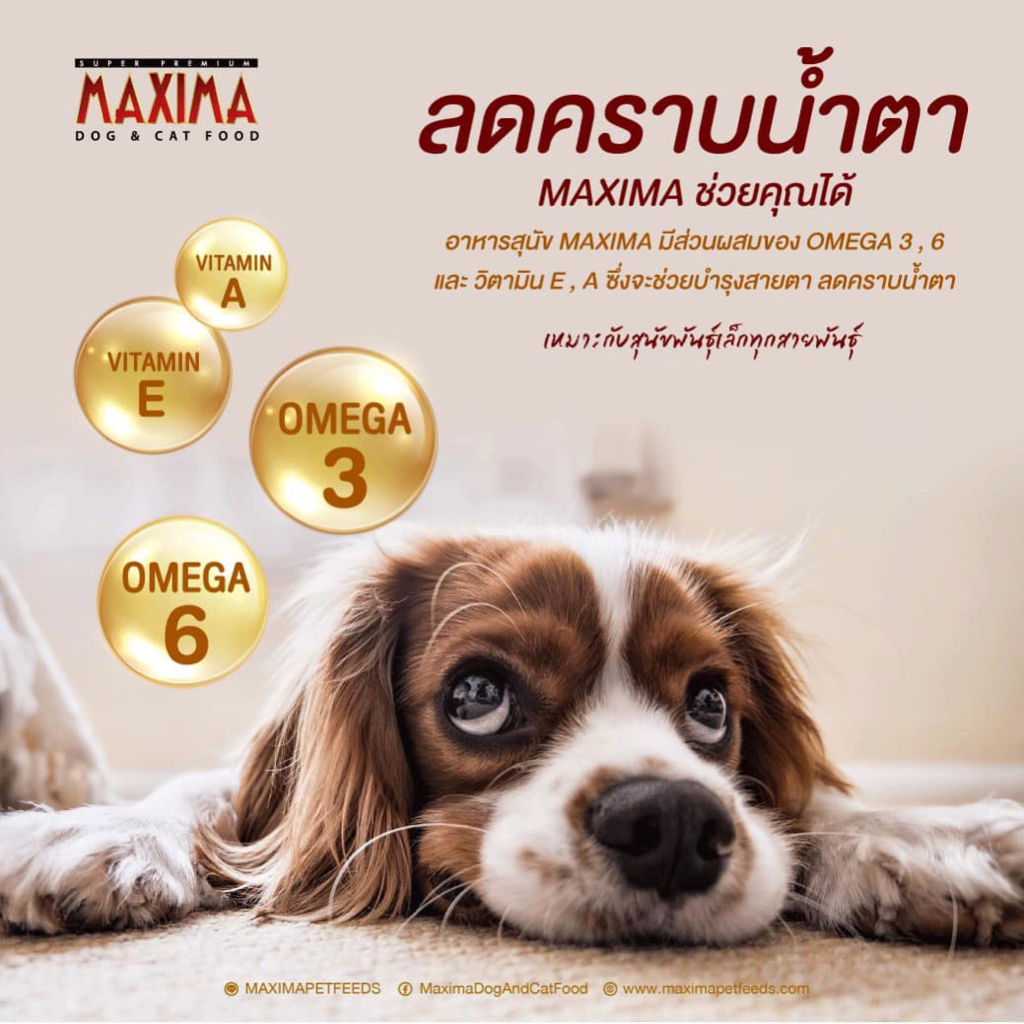maxima-อาหารเม็ดสุนัข-ลูกสุนัข-สุนัขโตพันธุ์กลางถึงพันธุ์ใหญ่-ขนาด-2-kg