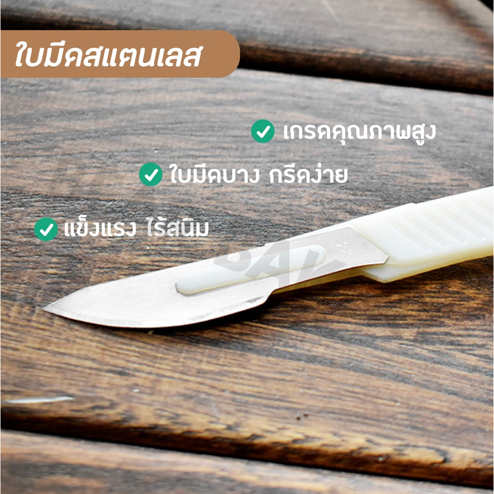 ส่งฟรี-มีดกรีดขนมปัง-bearbakery-สแตนเลสแท้-มีดกรีดลายขนมปัง-มีดตัดบาแกตต์-มีดตัดเค้ก-มีดตัดขนมปัง-มีดหั่นขนมปัง