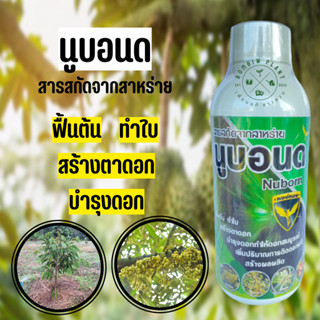 นูบอนด์ (ขนาด 1 ลิตร) สารสกัดจากสาหร่าย ช่วยฟื้นต้น ทำใบ สร้างตาดอก บำรุงดอกให้ดอกสมบูรณ์ เพิ่มการติดดอก สร้างผลผลิต